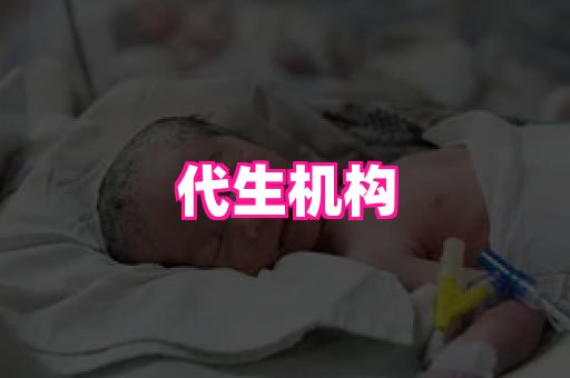 gfg孕网 1